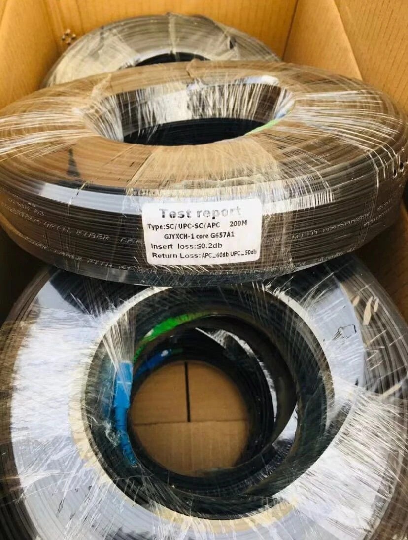 50 patch cord (1)(001)